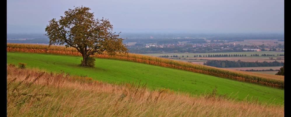 Фотография Лара