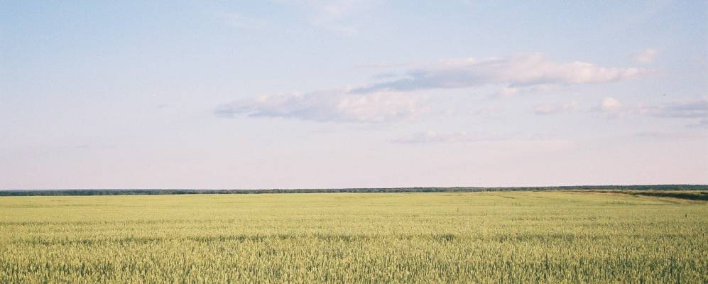 
            Фотография Лучинкино