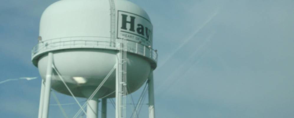 
            Фотография Хэйти