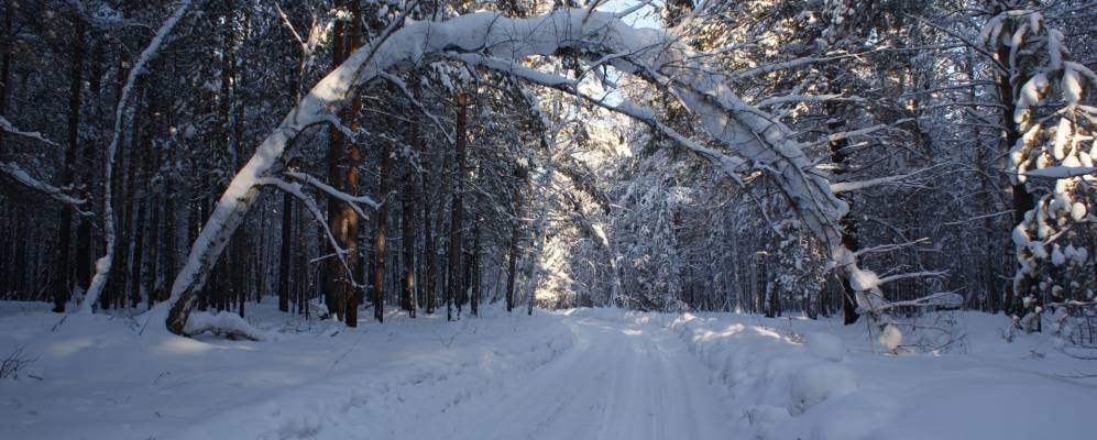 
            Фотография Георгиевки