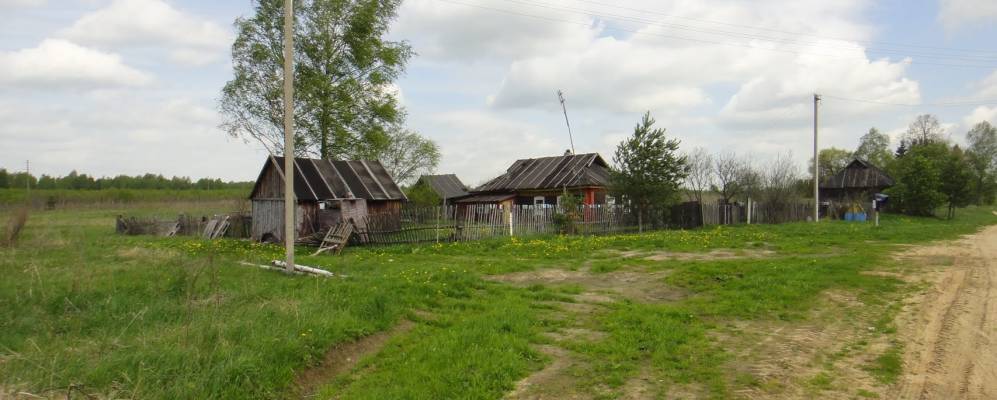 
            Фотография Дроздово