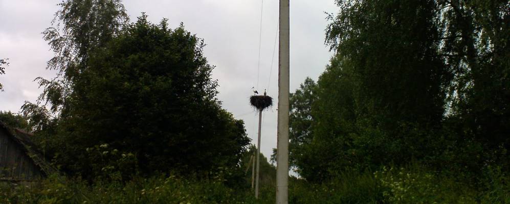 
            Фотография Приднепровской