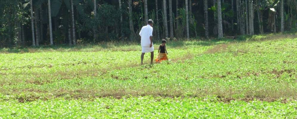 
            Фотография Талипарамбы
