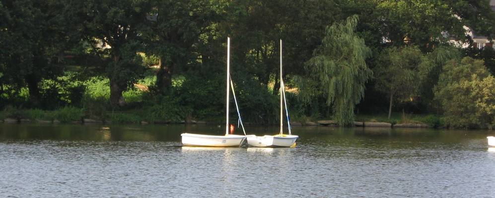 
            Фотография Региньи