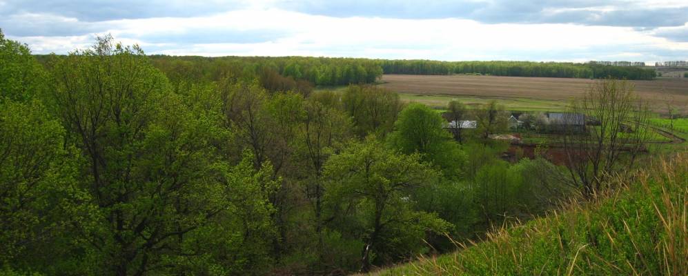 
            Фотография Подгорного