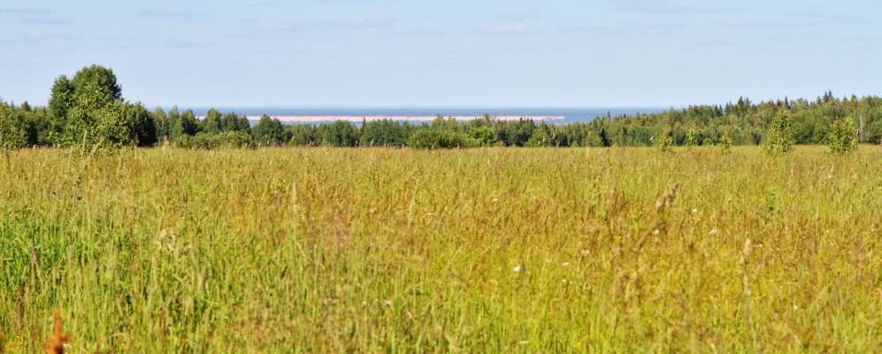 
            Фотография Завала