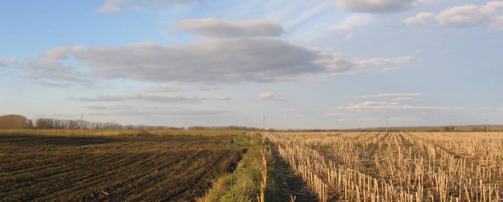 
            Фотография Кирпичиков