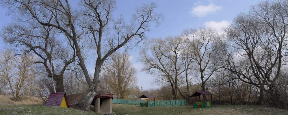 
            Фотография Пухляков