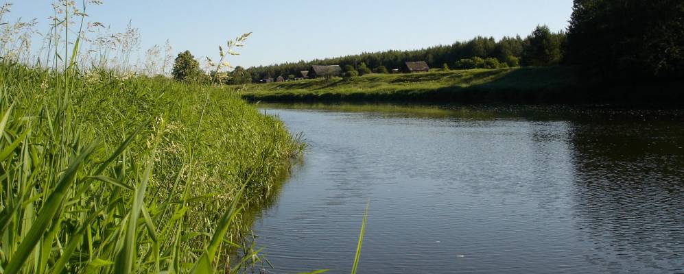 
            Фотография Игнацово