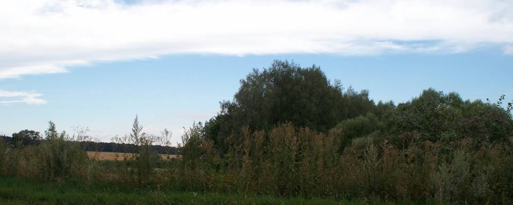 
            Фотография Учительского