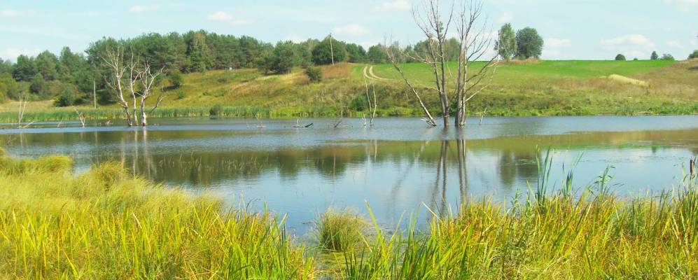 
            Фотография Тиганово