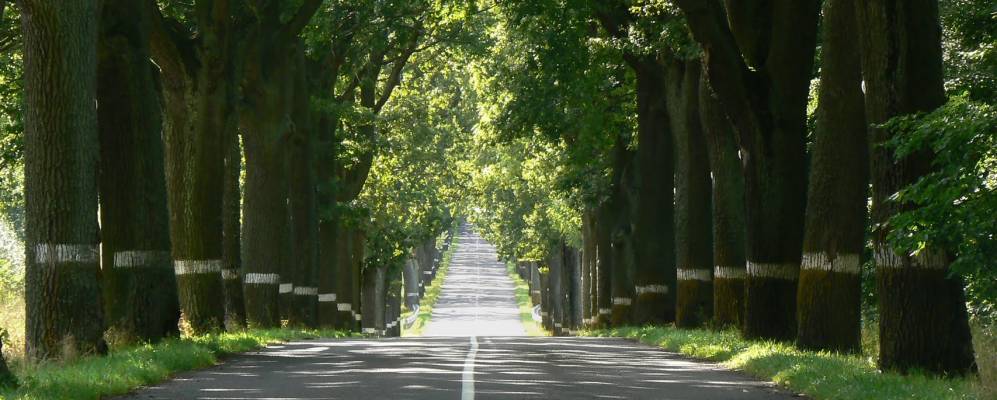 
            Фотография Бестужево