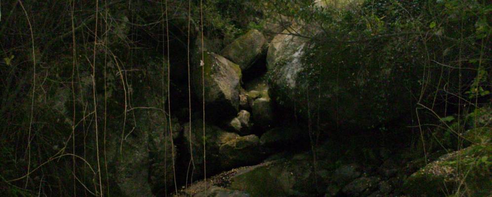 
            Фотография Перафиты