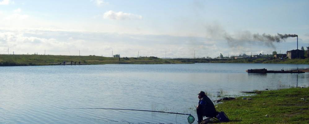 
            Фотография Усолья-Жилкино