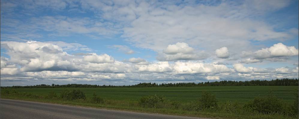 
            Фотография Кузьминского