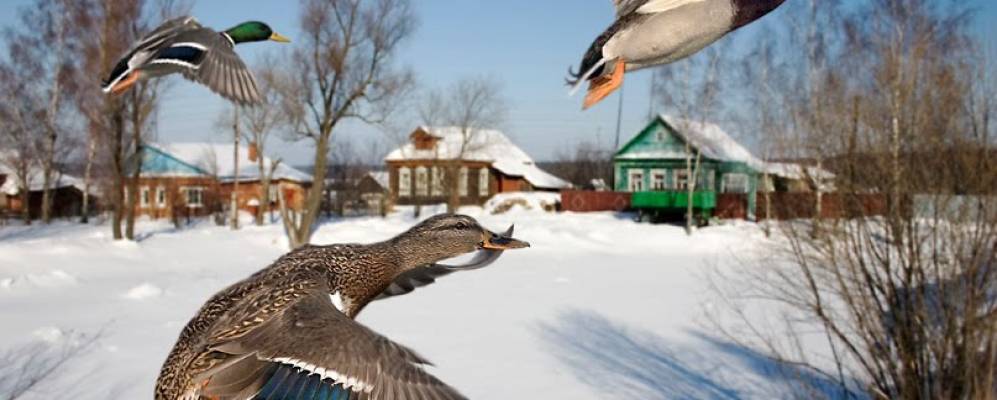 
            Фотография Горшково
