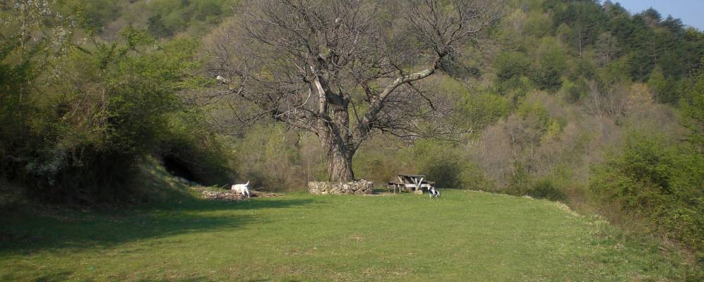 
            Фотография Стелланелло