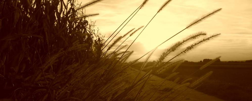 
            Фотография Денкендорф