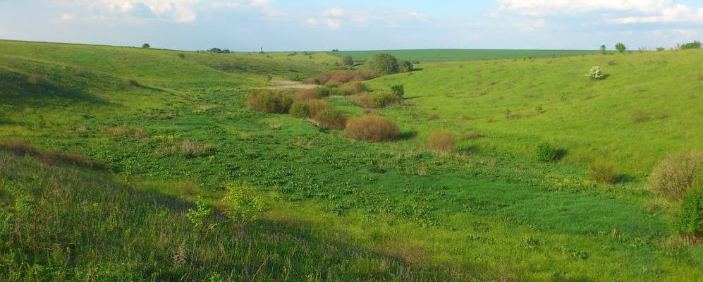 Фотография Пожидаевки