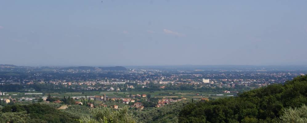 
            Фотография Мастиано