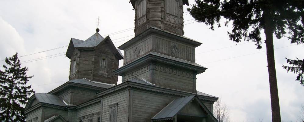 
            Фотография Овсяники