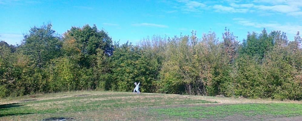 
            Фотография Пии