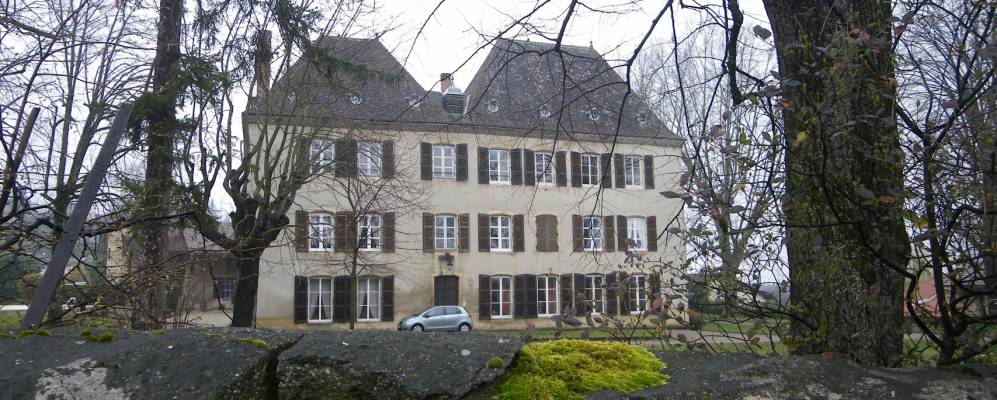 
            Фотография Домарена