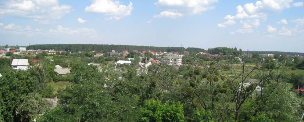 
            Фотография Петрушки