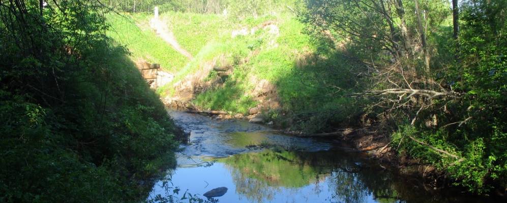 
            Фотография деревни Родники