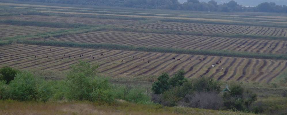 
            Фотография Южного Склона