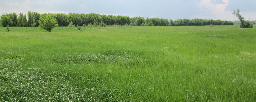 
            Фотография Заречья