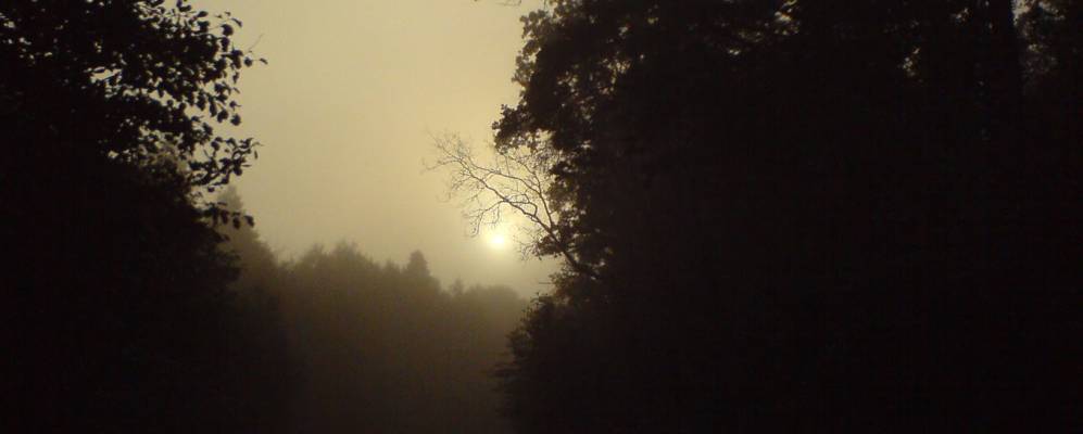 
            Фотография Лющи