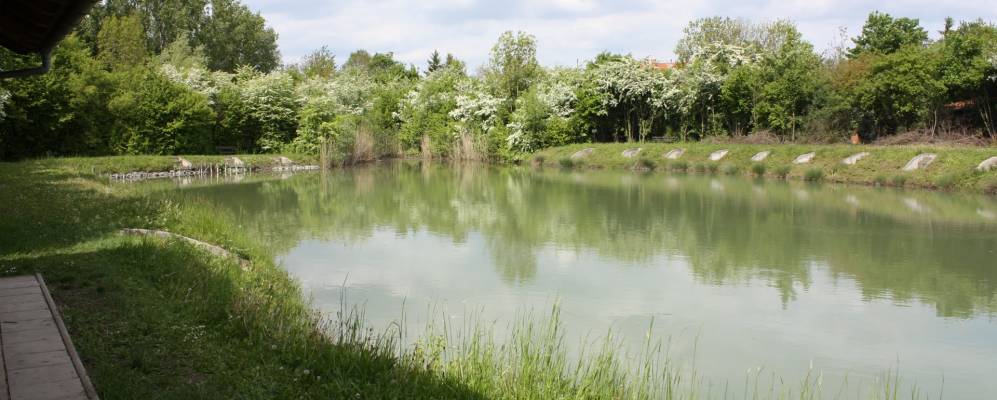 
            Фотография Зельцена