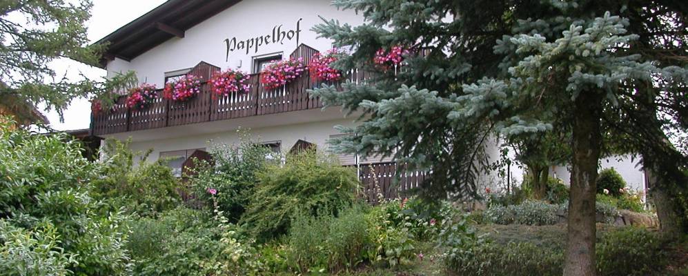 
            Фотография Бад Беллингена