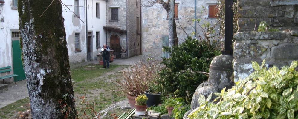 
            Фотография Самбука Пистойезе