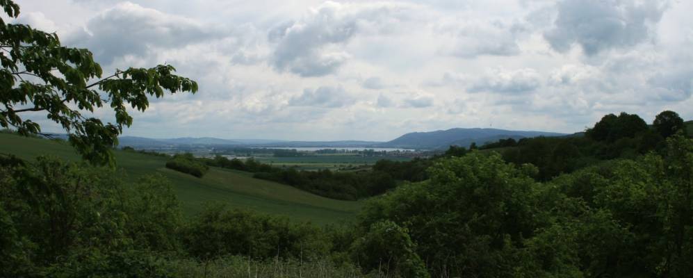 
            Фотография Херингена