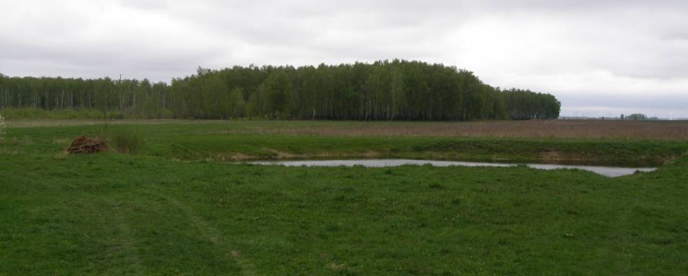 
            Фотография деревни Кулики