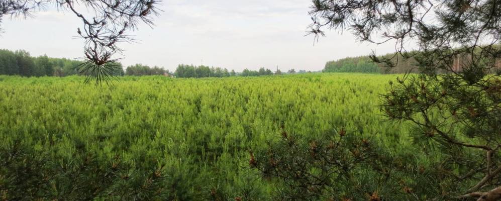 
            Фотография Фирстово