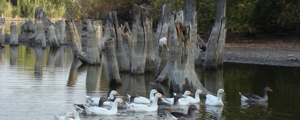
            Фотография Тепловки