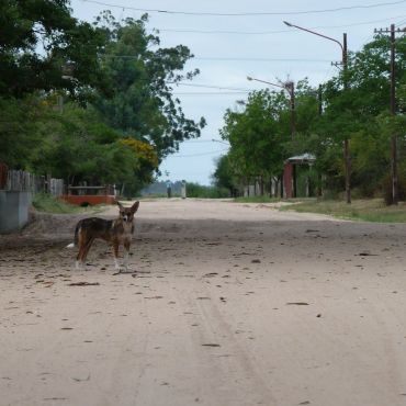 Колония-Карлос-Пеллегрини