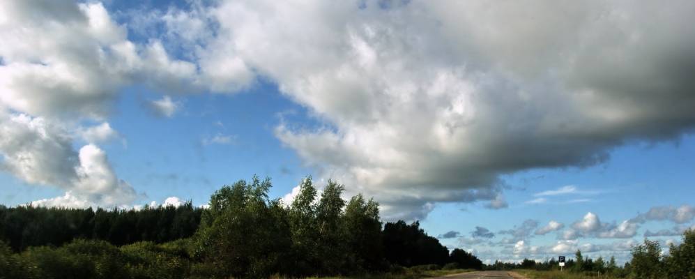 
            Фотография Слизнево
