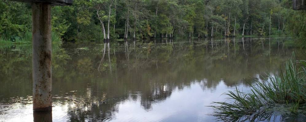 
            Фотография Саус Вакэри