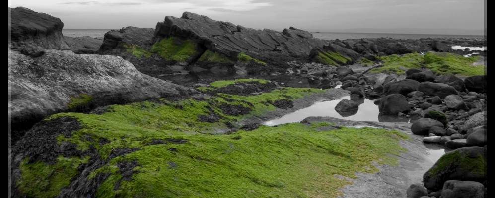 
            Фотография Анструтера