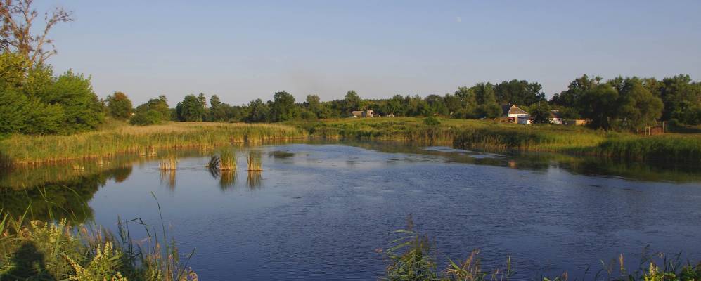 
            Фотография Мохначки
