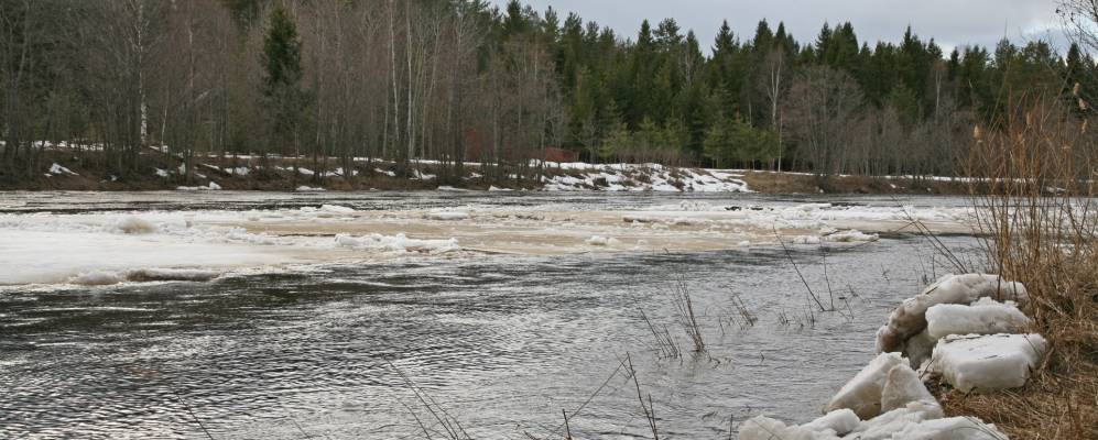 
            Фотография Прягаево
