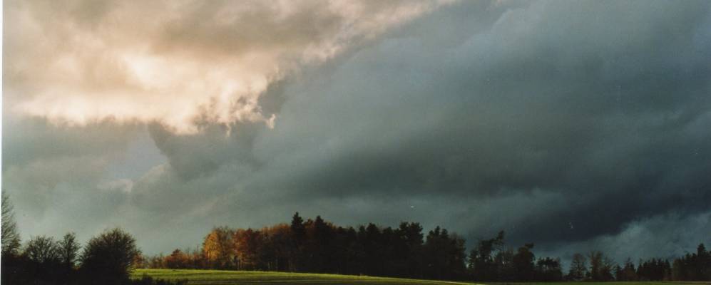 
            Фотография Пуксо