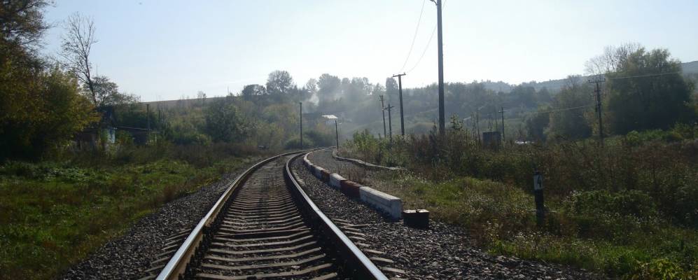 
            Фотография Кутковцы