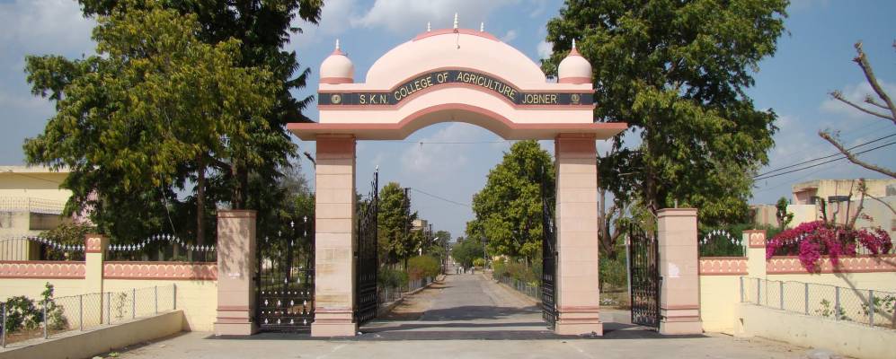 
            Фотография Джобнера