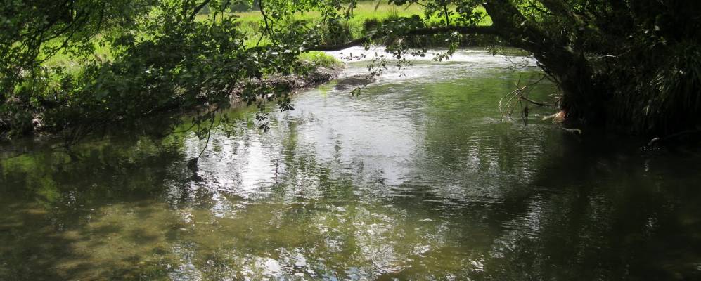 
            Фотография Лланбрайнмейра