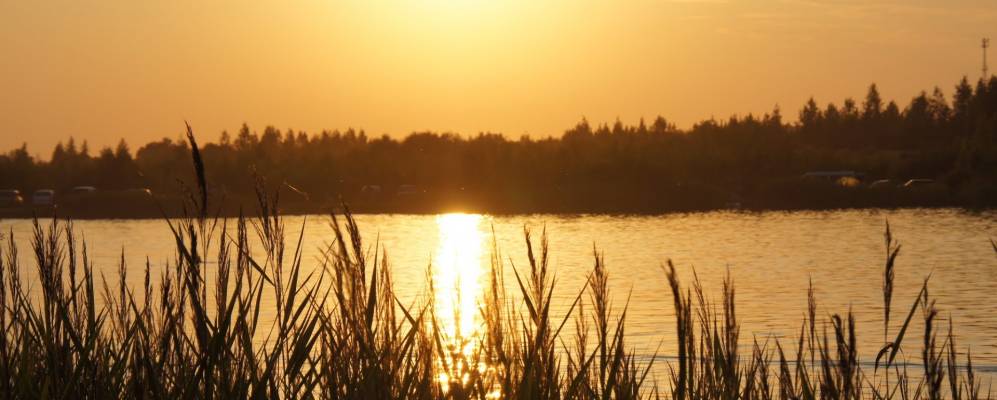 
            Фотография Щеголево